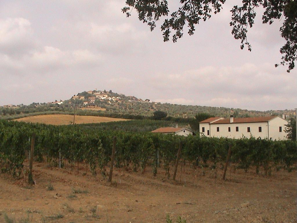 Agriturismo Vigna Mai Magliano in Toscana Eksteriør billede