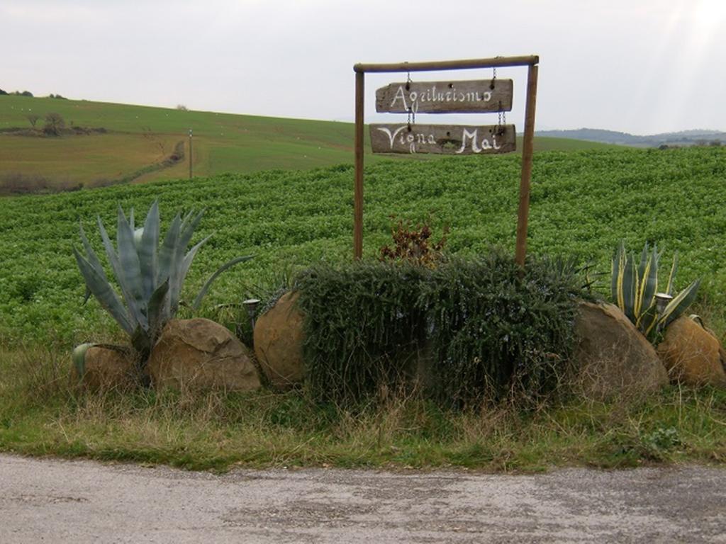Agriturismo Vigna Mai Magliano in Toscana Eksteriør billede