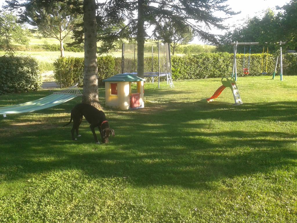 Agriturismo Vigna Mai Magliano in Toscana Eksteriør billede